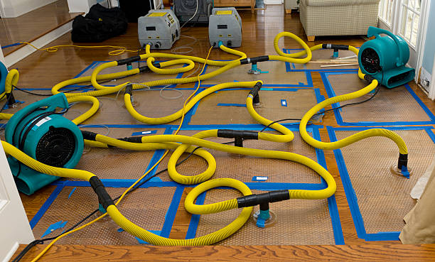 Professional Basement Flood Cleanup technician working in Buffalo, OH